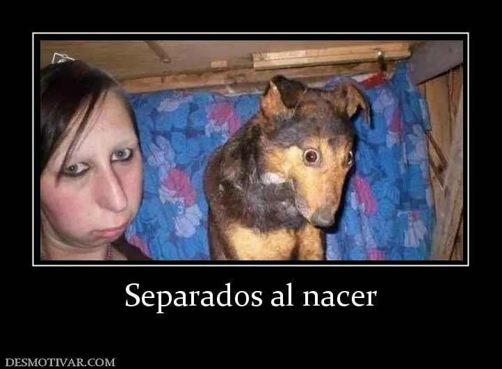 Memes e imagénes random para alegrar el miércoles 13