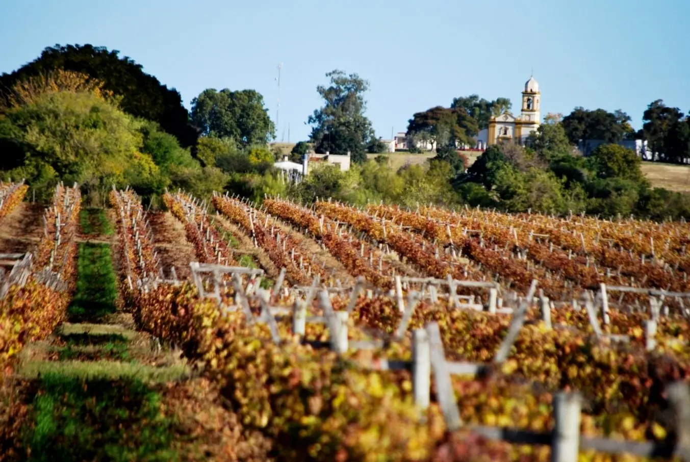 Francia