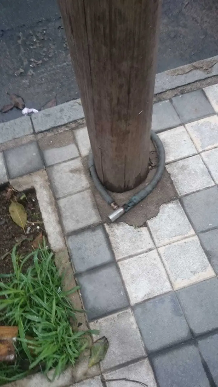 Esta es mi colección de pitones enroscadas (Córdoba)