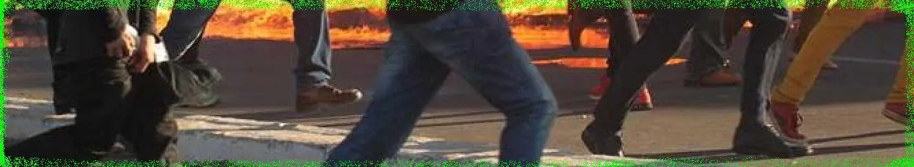 detector